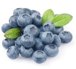 Arandano Azul(Vaccinium corymbosum)Planta de 1 año