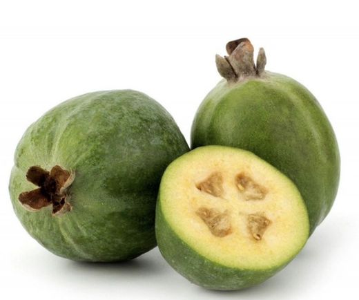 Feijoa (Acca sellowiana)
