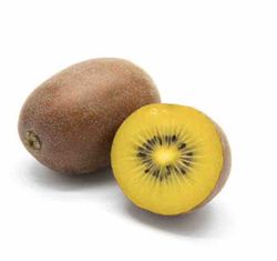 Kiwi Gold Amarillo (Actinidia deliciosa) / Planta de 1 año