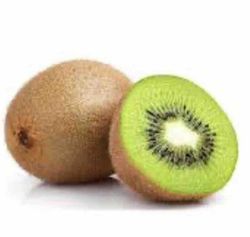 Kiwi Macho (Actinidia deliciosa) / Planta de 1 año