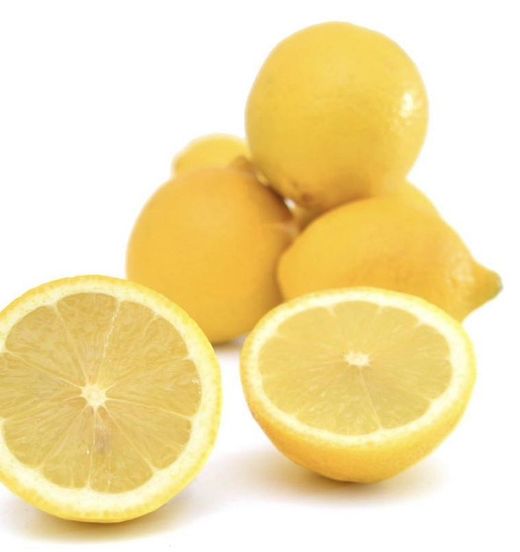Limon Eureka/ Planta de 2 años