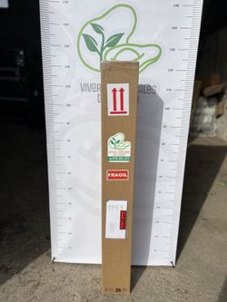 Mandarino Variedad Clementina o Clemenules / planta de 2 años