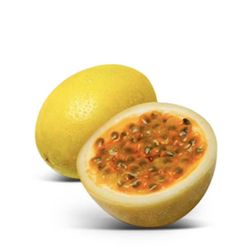 Maracuyá Amarilla (Passiflora edulis f. flavicarpa) Variedad Gigante / Planta de 1 año