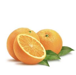 Naranjo Washington Navel en Maceta – Árbol Frutal Cítrico sin Semillas | Naranjas Dulces y Jugosas | Ideal para Huerto o Jardín