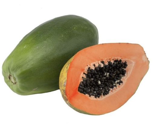 Papaya (Carica Papaya) Variedad Alicia/ Planta de 1 año