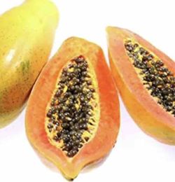 Papaya (Carica Papaya) Variedad Siluet / Planta de 1 año