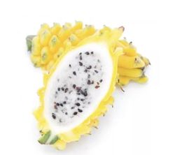 Pitaya amarilla (Selenicereus Megalanthus)