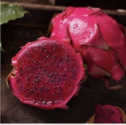 Pitaya purpusii (Hylocereus Purpussi)