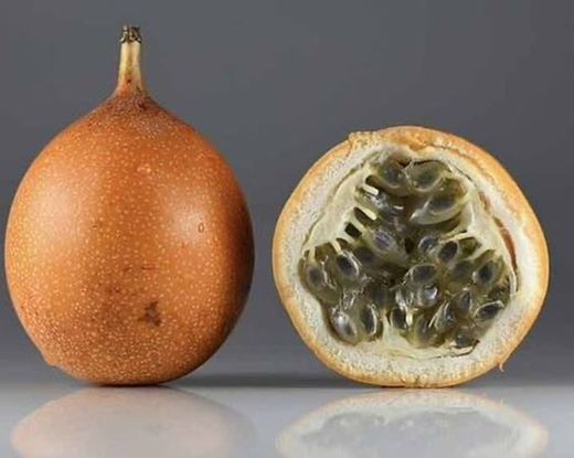 Planta de Granadilla o Granada China (Passiflora Ligularis)