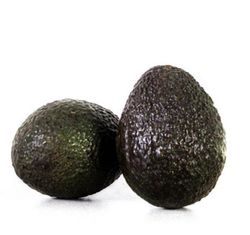 Planta o árbol de Aguacate Hass Clonal Duke-7 (Persea Americana) Patrón porta injertos Clonal Duke 7/Planta de 2 años