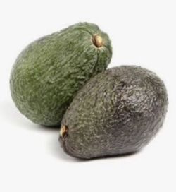 Planta o árbol de Aguacate Hass (Persea Americana) Patrón Degania/ Planta de 2 años.