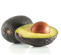 Planta o árbol de Aguacate Hass (Persea Americana) Patron porta injertos Zutano/ Planta de 1 año