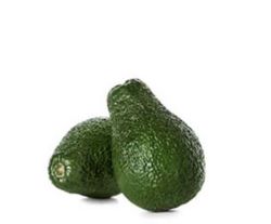 Planta o árbol de Aguacate Lamb-Hass (Persea Americana) Patrón porta injertos Nachar/ Planta de 1 año