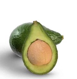 Planta o árbol de Aguacate Nachar (Persea Americana) Patrón-Portainjertos (Sin injertar) / Planta de 1 año