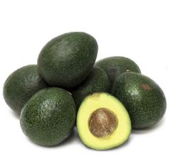 Planta o árbol de Aguacate Reed (Persea Americana) Patrón Mexicola/Planta de 1 año