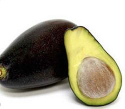 Planta o árbol de Aguacate Topa Topa (Persea Americana) Patrón-Portainjertos (Sin injertar) / Planta de 1 año