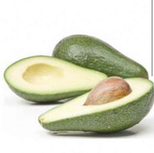 Planta o árbol de Aguacate Zutano (Persea Americana) patrón Mexicola / Planta de 1 año
