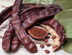 Planta o árbol de Algarrobo injertado en la variedad Duraio.