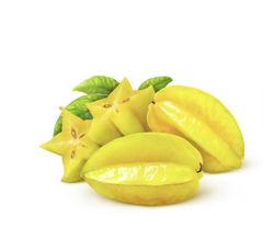 Planta o árbol de Carambola Averrhoa Carambola ( planta de 2 años ) injertada en la variedad Fwang Tung