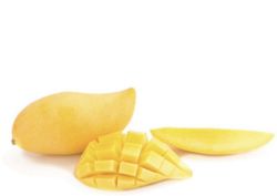 Planta o árbol de Mango Ataúlfo  (Mangifera Indica) Patrón porta injertos Gomera-3/ Planta de 2 año