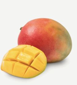 Planta o árbol de Mango Keiit  (Mangifera Indica) Patrón porta injertos Gomera-3/ Planta de 2 año