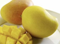 Planta o árbol de Mango (Mangifera Indica) Variedad Kengsinton/ Patrón porta injertos Gomera-3/ Planta de 1 año