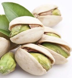 Planta o árbol de pistacho Variedad Kerman (Pistacia Vera)Planta de 3 años