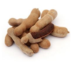 Tamarindus Indica(Tamarindo ) 40Unidades